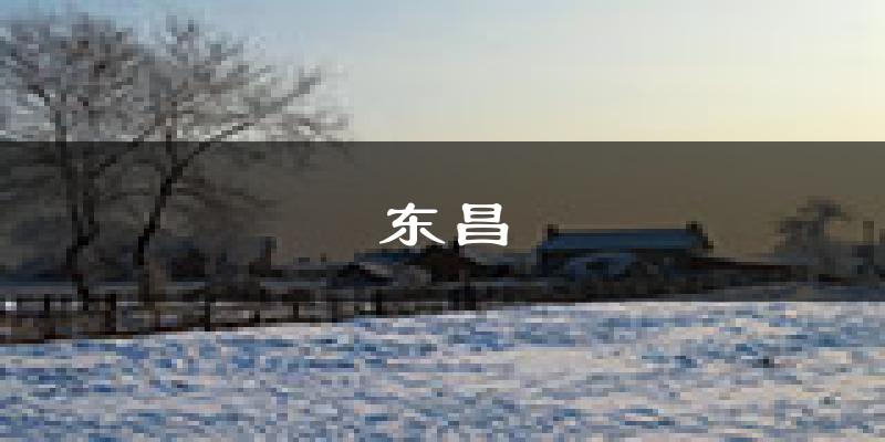 通化东昌天气预报未来一周