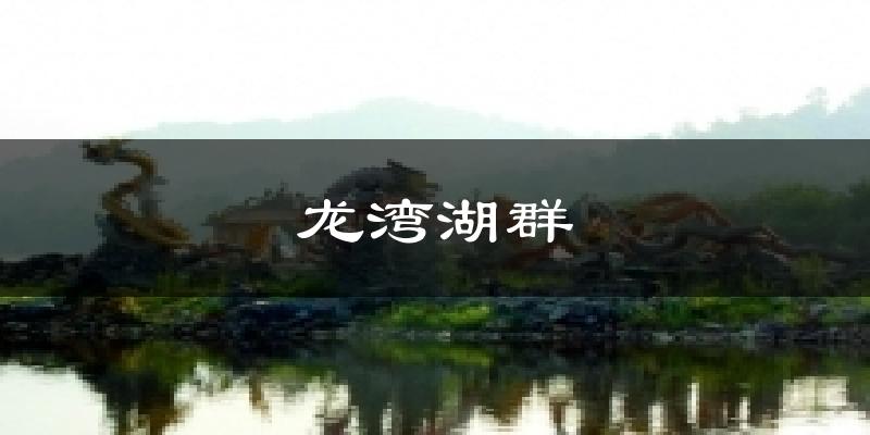 龙湾湖群气温