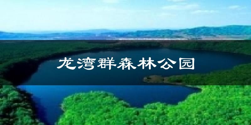 龙湾群森林公园气温