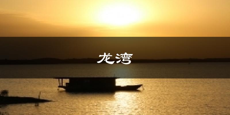 龙湾气温