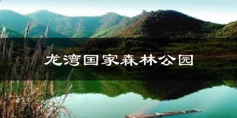 龙湾国家森林公园气温