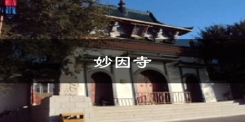 妙因寺气温